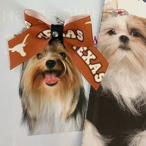 UT University of Texas Austin PET DOG BOWS set 2
